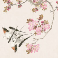 写作技巧 – 亮的笔记